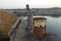 MAVİ YENGEÇ - Enez'de Mavi Yengeç Bolluğu