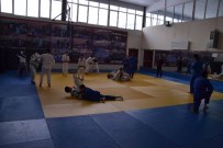 İl Temsilcisi Van'da Judo'da Yapılan Başarıları Anlattı