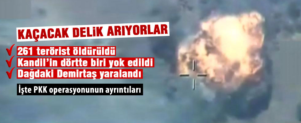PKK'ya ağır darbe