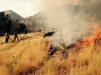 Şırnak'ta Ormanlık Alanda Yangın