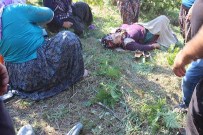 ORMANLı - Tarım Aracı Tarlaya Uçtu Açıklaması 7 Yaralı