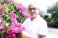 OSMAN BAĞDATLıOĞLU - Türkiye, Hollanda'daki Çiçek Krizini Avantaja Çevirecek