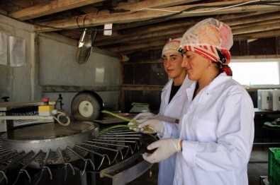 Türkiye'nin Bütün Kuşkonmaz İhtiyacını Karşılıyor
