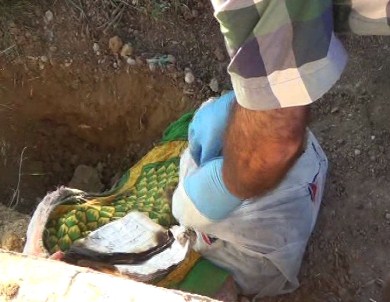 'Bebek Gömüldü' Denilen Mezardan Kuran'ı Kerim Çıktı