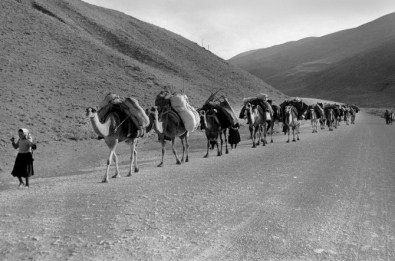 Bursa Fotofest'in Bu Yılki Teması Göç Oldu