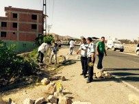 GAZİ YAŞARGİL - Diyarbakır'da Trafik Kazası Açıklaması 1 Ölü