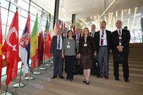 İLERLEME RAPORU - Efes İçin Heyecan Dorukta