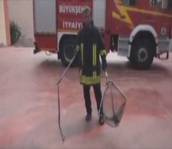 İtfaiyeden Vatandaşlara Yılan Yakalama Dersi