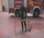 İSMAİL BAYRAM - İtfaiyeden Vatandaşlara Yılan Yakalama Dersi