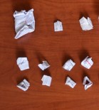 FERİBOT İSKELESİ - Lapseki'de Bonzai Ele Geçirildi