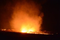 BAGOK DAĞI - Mardin'de Orman Yangını