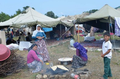 Çocuklar, Fındık Bahçesi Yerine Okula Gidiyor