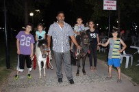MİDİLLİ ATI - İncirliova'da Efe İle Harika Çocukları Sevindiriyor