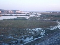 ÇETİN EMEÇ - Karkamış Ovası Özüne Dönecek