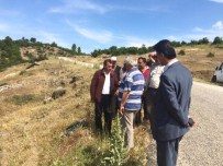 CAN AKSOY - Köy Yollarına Bakım Çalışması