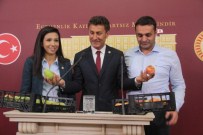 TERMİK SANTRAL - Meclis'te Meyveli Toplantı