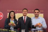 TERMİK SANTRAL - Meclis'te Şeftali Ve Armutlu Termik Santral Açıklaması