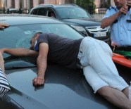 Ordu'da Yaya, Araca Çarptı Açıklaması 1 Yaralı