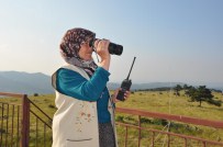 Tekerlekli Sandalyesinden Ormanları Gözetliyor