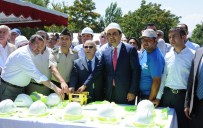 ARKEOLOJİK KAZI - Kalehöyük Arkeopark Projesi'nin Temeli Atıldı