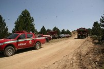 Ormanlar İçin Sevindiren Haber