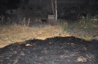 Sivas'ta Anız Yangını