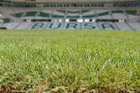 'Timsah Arena'ya Sağlam Zemin