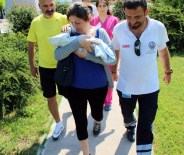 Ambulans Helikopter Ömer Bebek İçin Havalandı