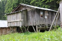 KUŞ YUVASI - Düzce'de Yayla Evleri Tespit Edildi