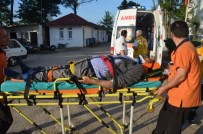 Fatsa'da Trafik Kazası Açıklaması 3 Yaralı