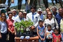 Foça'nın Antik Meyvesi Yeniden Yetişecek