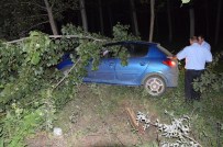 Otomobil Tarlaya Uçtu Açıklaması 1 Yaralı