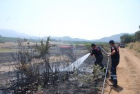 Aydın'da Tarım Arazisinde Yangın