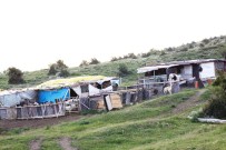 SOLUNUM CİHAZI - Aydos Yaylası'nda Ramazan