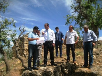 Mazıdağı'nda 'Yeşil Kuşak' Projesi Uygulamaya Başlanacak