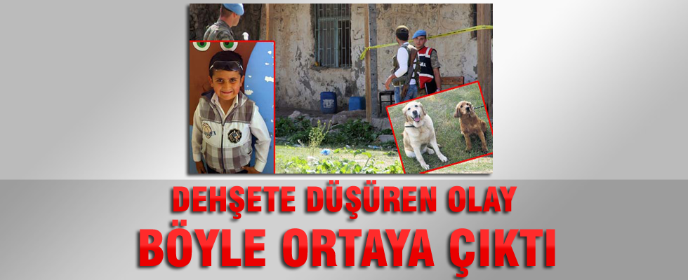 Minik Enes'i Ceko ve Ateş buldu