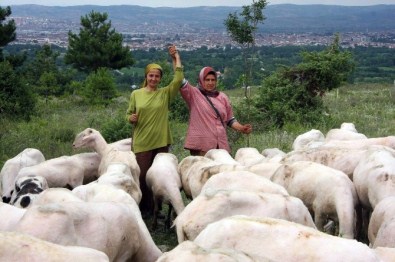 Bunlar Da Girişimci Çoban Kız Kardeşler