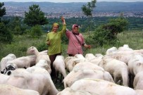 HAYAT HİKAYESİ - Bunlar Da Girişimci Çoban Kız Kardeşler
