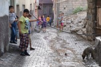 YAVRU KÖPEK - Sıcaklar Kavurmaya Başladı