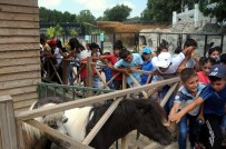 FAZIL TÜRK - İştar Kursiyeri Çocuklar Hayvanat Bahçesini Gezdi