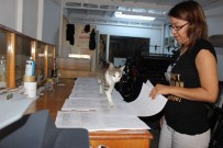 AYDıN MERKEZ - Pakize Nankör Çıkmadı