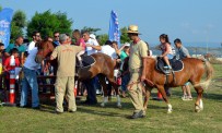 'Pony Club Şehrinize Geliyor' Projesi