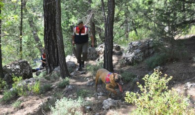 Yolunu Kaybettiğini Bildiren Kişiye 6 Saat Sonra Ulaşıldı