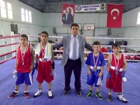 GÜREŞ TAKIMI - Altınova'da Sportif Faaliyetler Artıyor