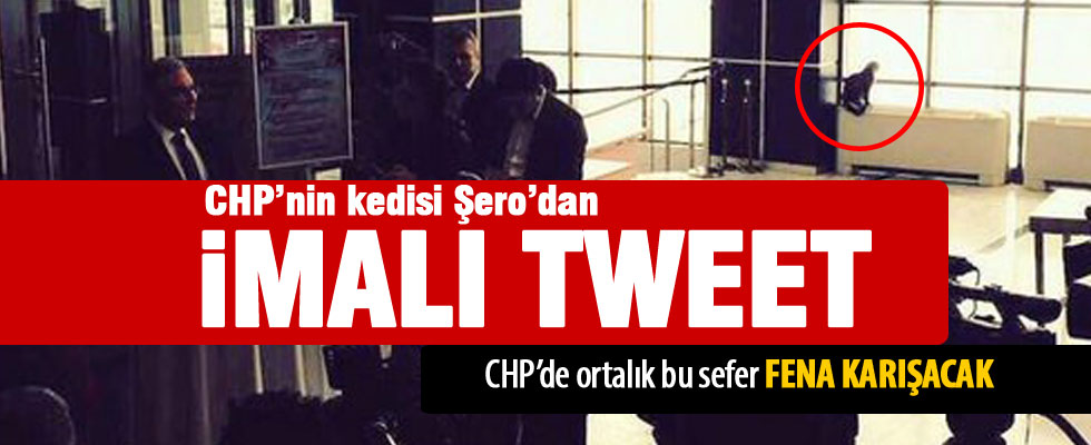 CHP'nin kedisi Şero'dan imalı Baykal tweeti
