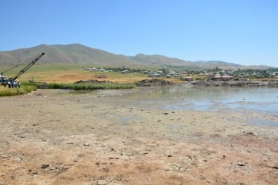 Varto'da Dipsiz Gölde Temizlik Çalışması