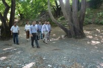 SAĞLIK KOMİSYONU - Yunusemre Belediyesi Piknik Alanlarını Güzelleştiriyor