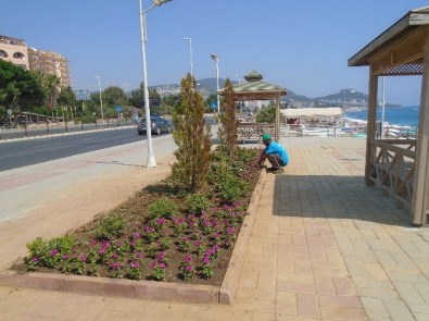 Alanya'da Peyzaj Ve Bakım Çalışmaları Devam Ediyor