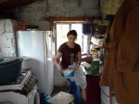 FARUK ERDEM - Arpaçay Kaymakamlığı Yaşlıları Unutmadı