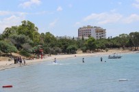 İSKENDER YÖNDEN - Didim Tavşanburnu Tabiat Parkı İlgi Odağı Oldu